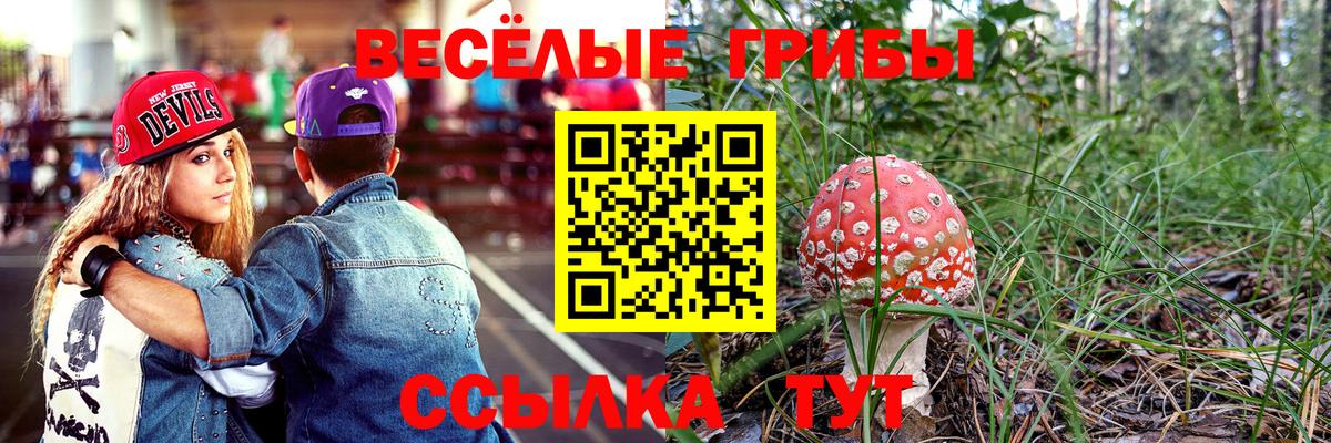 Псилоцибиновые грибы ЛСД Выборг